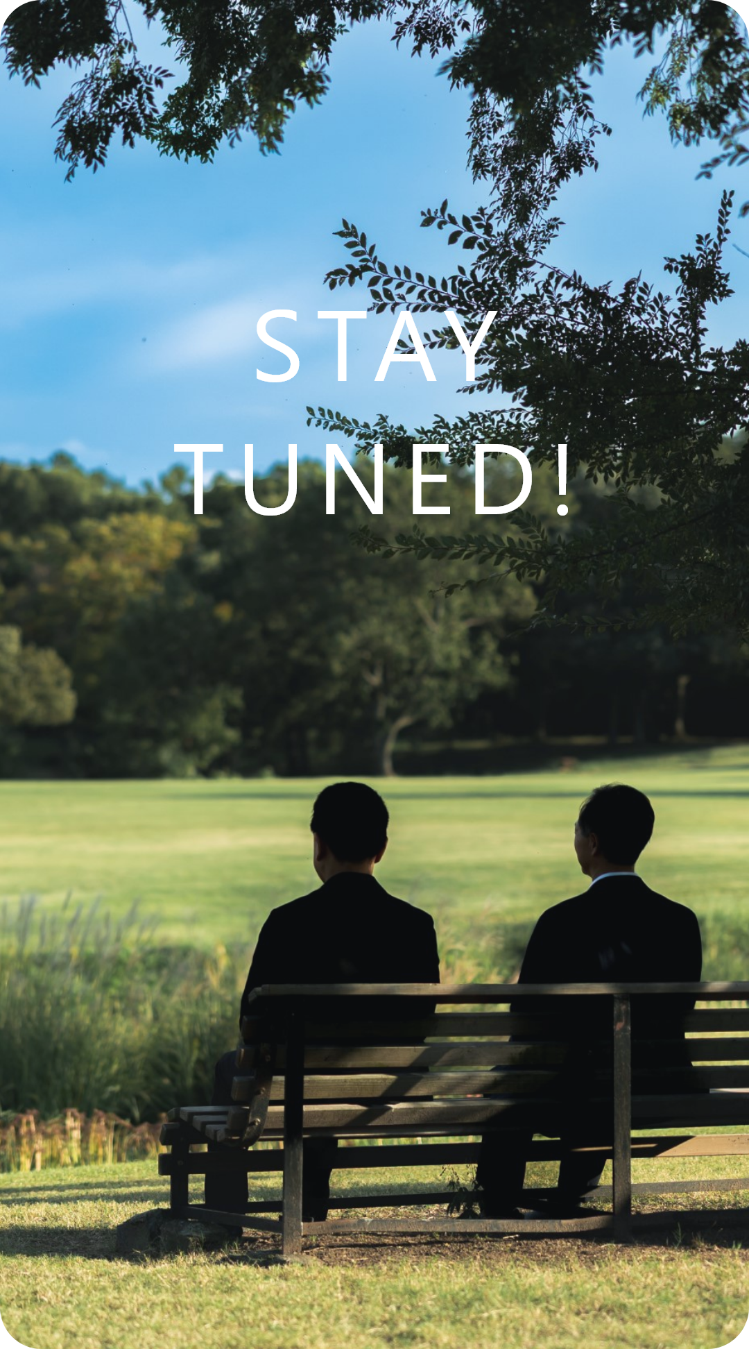 マネジメントビットバレー株式会社｜医療×ビジネスで地域を変える、新しい医療のカタチ